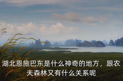 湖北恩施巴東是什么神奇的地方，跟農(nóng)夫森林又有什么關(guān)系呢