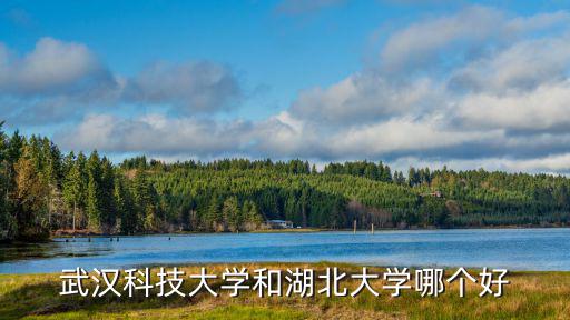 武漢科技大學和湖北大學哪個好