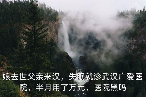 娘去世父親來漢，失眠就診武漢廣愛醫院，半月用了萬元，醫院黑嗎