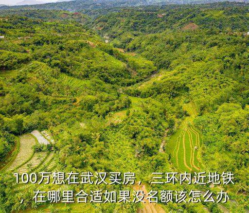 100萬想在武漢買房，三環(huán)內(nèi)近地鐵，在哪里合適如果沒名額該怎么辦