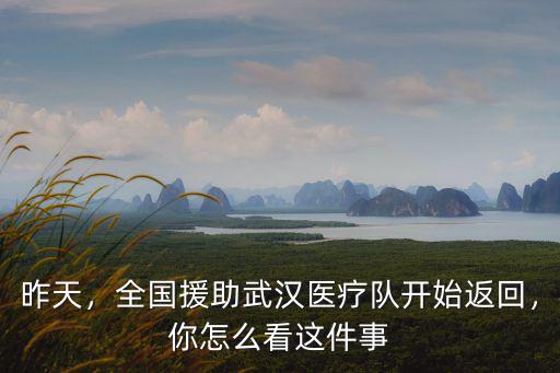 昨天，全國援助武漢醫療隊開始返回，你怎么看這件事
