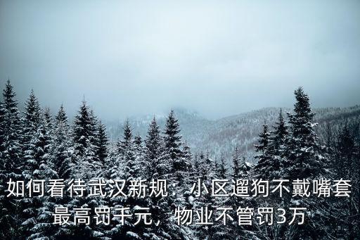 如何看待武漢新規：小區遛狗不戴嘴套最高罰千元，物業不管罰3萬
