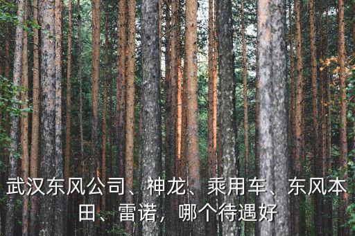 武漢東風公司、神龍、乘用車、東風本田、雷諾，哪個待遇好