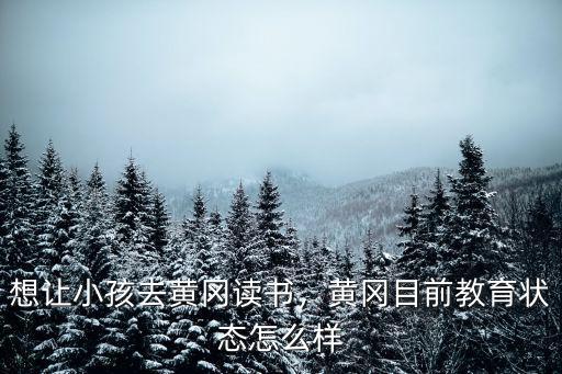 想讓小孩去黃岡讀書(shū)，黃岡目前教育狀態(tài)怎么樣