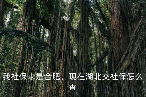我社保卡是合肥，現在湖北交社保怎么查