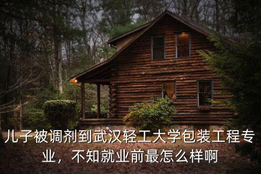 兒子被調(diào)劑到武漢輕工大學包裝工程專業(yè)，不知就業(yè)前最怎么樣啊