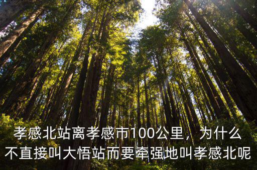 孝感北站離孝感市100公里，為什么不直接叫大悟站而要牽強地叫孝感北呢