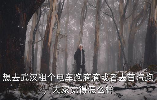 想去武漢租個電車跑滴滴或者去首汽跑，大家覺得怎么樣