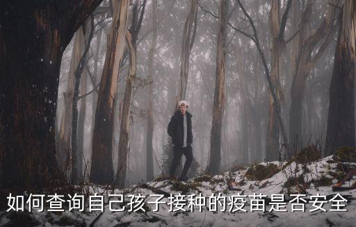 如何查詢自己孩子接種的疫苗是否安全
