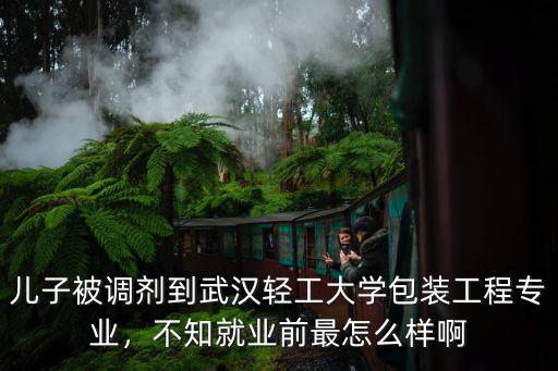 兒子被調(diào)劑到武漢輕工大學(xué)包裝工程專(zhuān)業(yè)，不知就業(yè)前最怎么樣啊