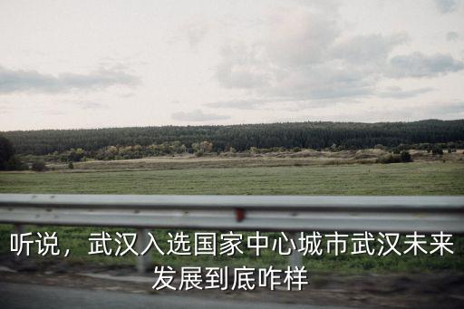 聽說，武漢入選國家中心城市武漢未來發展到底咋樣