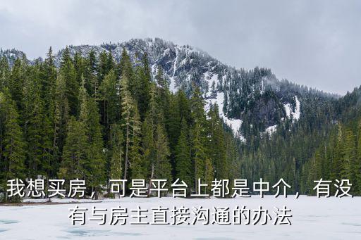 我想買房，可是平臺上都是中介，有沒有與房主直接溝通的辦法