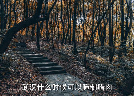 武漢臘魚臘肉怎么樣,武漢什么時候可以腌制臘肉