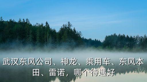 武漢東風公司、神龍、乘用車、東風本田、雷諾，哪個待遇好