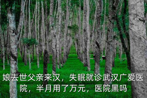 娘去世父親來漢，失眠就診武漢廣愛醫院，半月用了萬元，醫院黑嗎