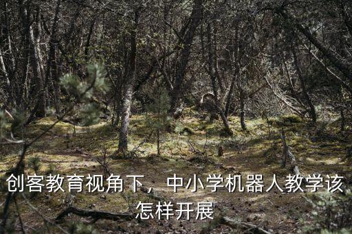 創客教育視角下，中小學機器人教學該怎樣開展