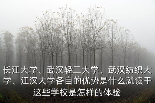 長(zhǎng)江大學(xué)、武漢輕工大學(xué)、武漢紡織大學(xué)、江漢大學(xué)各自的優(yōu)勢(shì)是什么就讀于這些學(xué)校是怎樣的體驗(yàn)