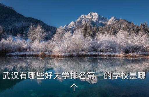 武漢有哪些好大學排名第一的學校是哪個