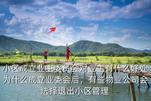 武漢市嘉禾園小區業主大會業主委員會怎么樣,業主委員會真的有利可圖嗎