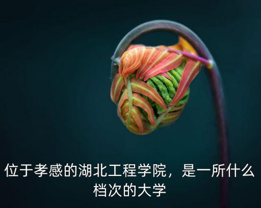 湖北孝感師范學校怎么樣,湖北工程學院怎么樣