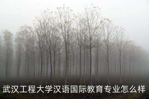 武漢工程大學漢語國際教育專業怎么樣