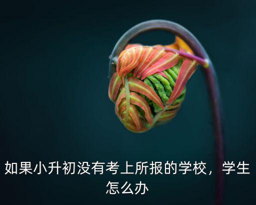 如果小升初沒有考上所報的學校，學生怎么辦