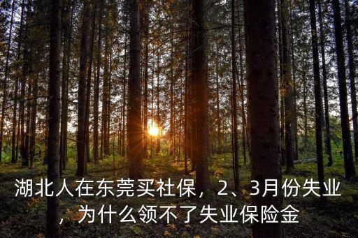 湖北人在東莞買社保，2、3月份失業，為什么領不了失業保險金