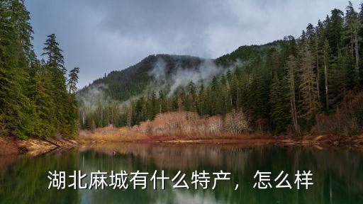 湖北麻城有什么特產，怎么樣
