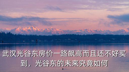 武漢光谷東房?jī)r(jià)一路飆高而且還不好買(mǎi)到，光谷東的未來(lái)究竟如何