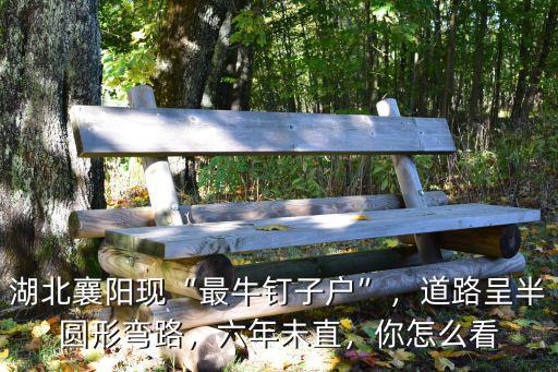 湖北襄陽現“最牛釘子戶”，道路呈半圓形彎路，六年未直，你怎么看