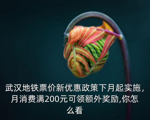 武漢地鐵票價(jià)新優(yōu)惠政策下月起實(shí)施，月消費(fèi)滿200元可領(lǐng)額外獎(jiǎng)勵(lì),你怎么看
