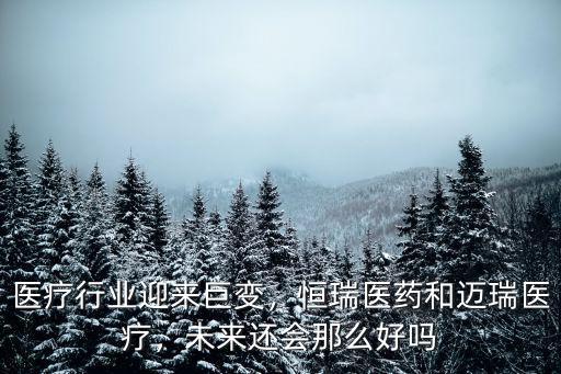 醫(yī)療行業(yè)迎來(lái)巨變，恒瑞醫(yī)藥和邁瑞醫(yī)療，未來(lái)還會(huì)那么好嗎