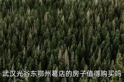 鄂州葛店一小怎么樣,在葛店買房怎么樣