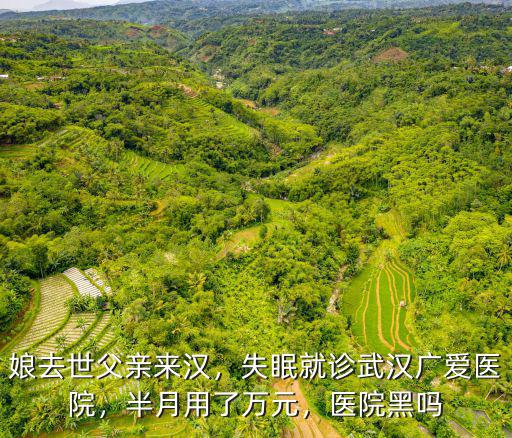 娘去世父親來漢，失眠就診武漢廣愛醫院，半月用了萬元，醫院黑嗎