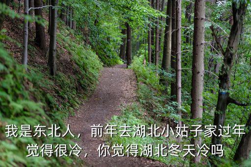 湖北冬天怎么這么冷,你覺得湖北冬天冷嗎