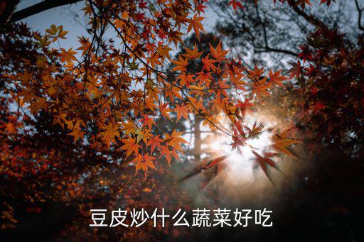 豆皮炒什么蔬菜好吃