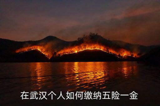 在武漢個人如何繳納五險一金