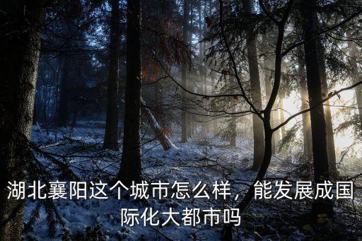 湖北襄陽這個城市怎么樣，能發展成國際化大都市嗎