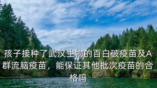 孩子接種了武漢生物的百白破疫苗及A群流腦疫苗，能保證其他批次疫苗的合格嗎