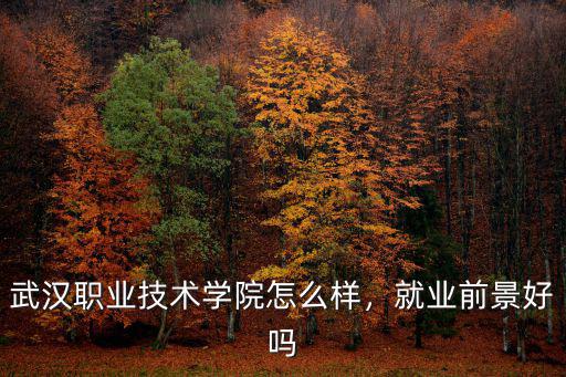 武漢職業技術學院怎么樣，就業前景好嗎