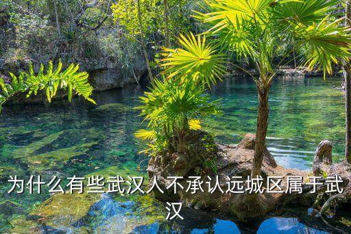 為什么有些武漢人不承認(rèn)遠(yuǎn)城區(qū)屬于武漢