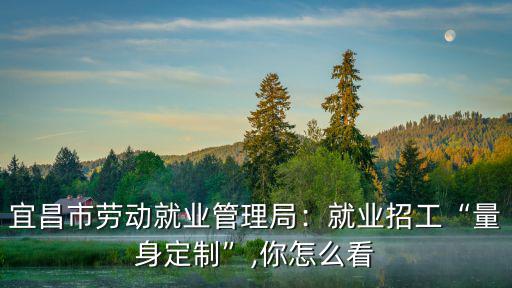 宜昌市點(diǎn)軍區(qū)勞動(dòng)就業(yè)管理局怎么樣,宜昌市勞動(dòng)就業(yè)管理局