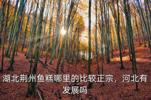 湖北的荊沙魚糕怎么做好吃,湖北特產(chǎn)魚糕怎么做才好吃