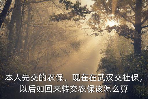 本人先交的農保，現在在武漢交社保，以后如回來轉交農保該怎么算