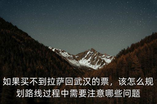 如果買不到拉薩回武漢的票，該怎么規劃路線過程中需要注意哪些問題