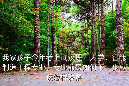 武漢理工大學(xué)智能制造工程怎么樣,智能制造工程專業(yè)
