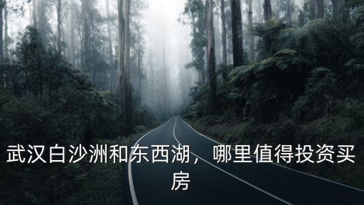 武漢白沙洲和東西湖，哪里值得投資買房