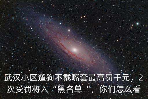 武漢小區遛狗不戴嘴套最高罰千元，2次受罰將入“黑名單“，你們怎么看
