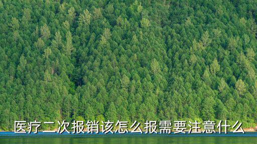 醫療二次報銷該怎么報需要注意什么