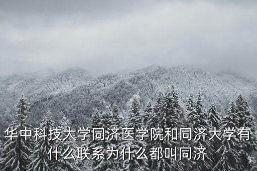 武漢同濟胡軍怎么樣,為什么都叫同濟